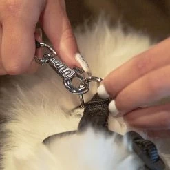 Ferplast WITH ME PRO Alle Anzeigen 19 Ferplast WITH ME PRO Alle Anzeigen