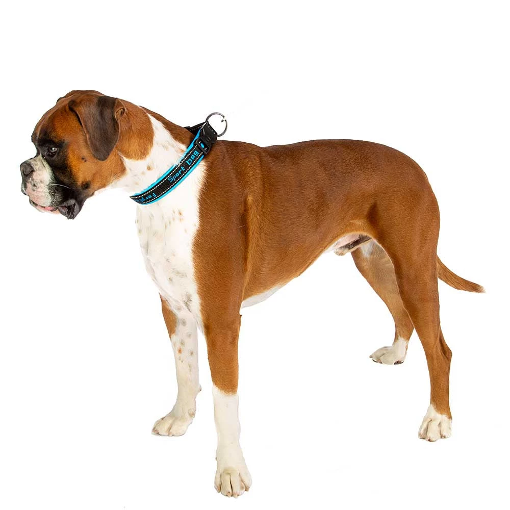 Ferplast SPORT DOG C 44 Ferplast SPORT DOG C