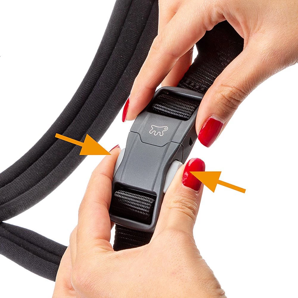 Ferplast DAYTONA P CROSS Alle Anzeigen 10 Ferplast DAYTONA P CROSS Alle Anzeigen