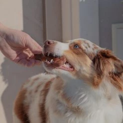 Ferplast GOODBITE NATURAL BEEF BONE 24 Ferplast GOODBITE NATURAL BEEF BONE