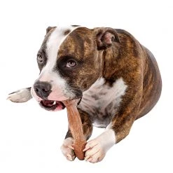 Ferplast GOODBITE NATURAL BEEF BONE 25 Ferplast GOODBITE NATURAL BEEF BONE