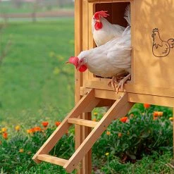 Ferplast HEN HOUSE 30 17 Ferplast HEN HOUSE 30