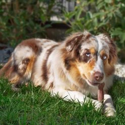 Ferplast GOODBITE NATURAL BEEF BONE 26 Ferplast GOODBITE NATURAL BEEF BONE