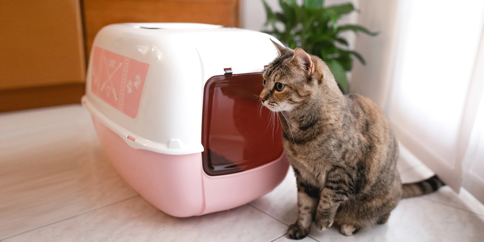 Ferplast Deutschland Verkaufsladen -Ferplast Deutschland Verkaufsladen BA 3000x1500px PRIMA